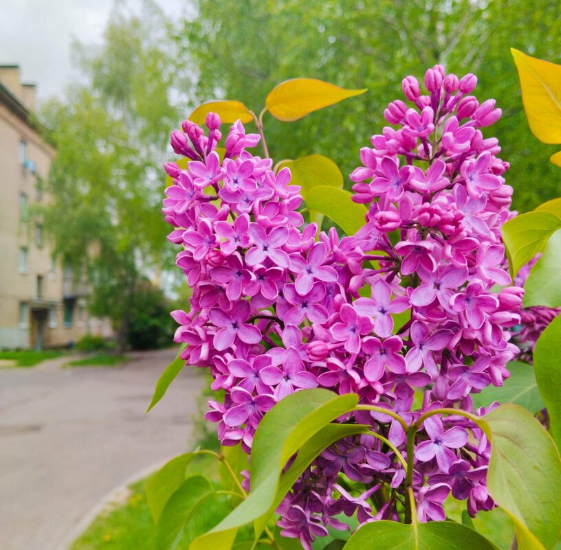 Жаль, что фото не передаёт этот вкусный аромат - Галина Бобкина