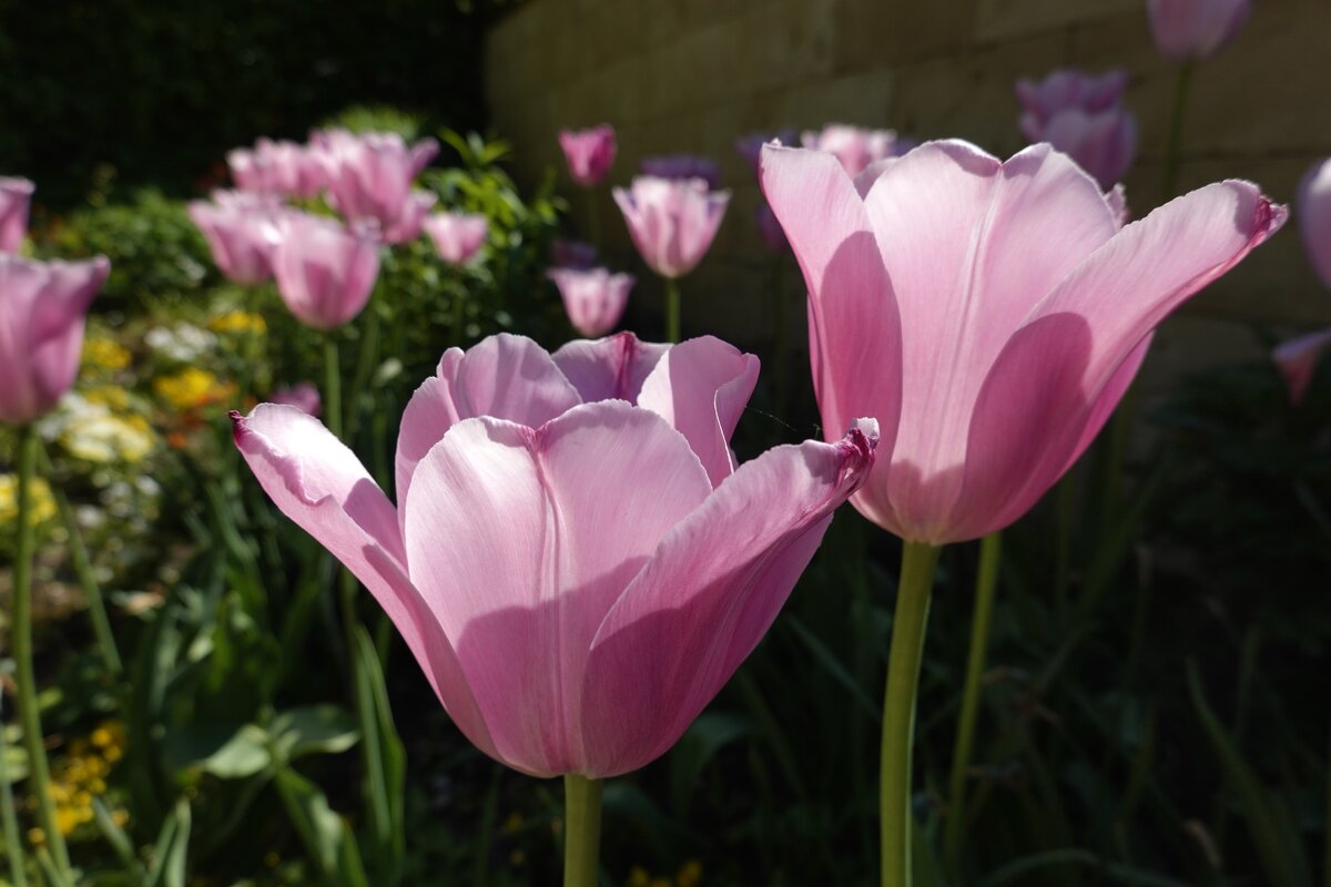 ... - Галина ... - Галина