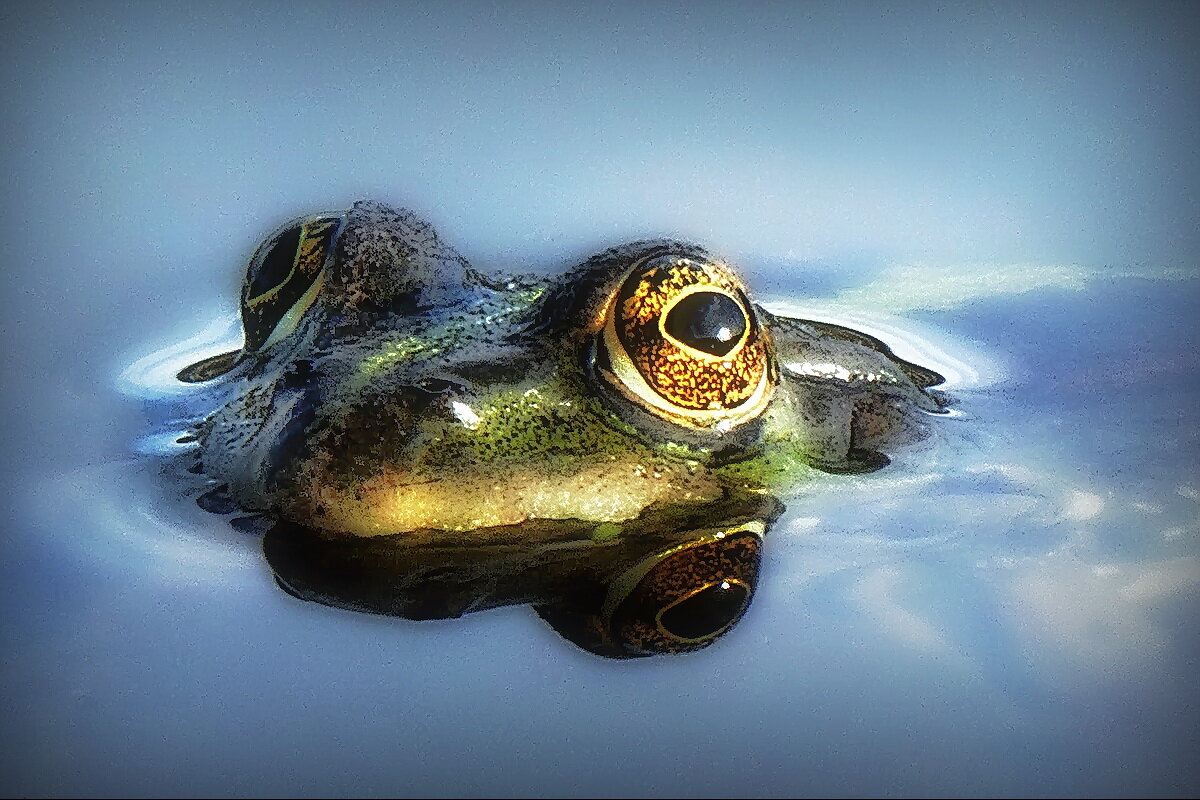 На пути к ц. Покрова... - Владимир Шошин На пути к ц. Покрова... - Владимир Шошин