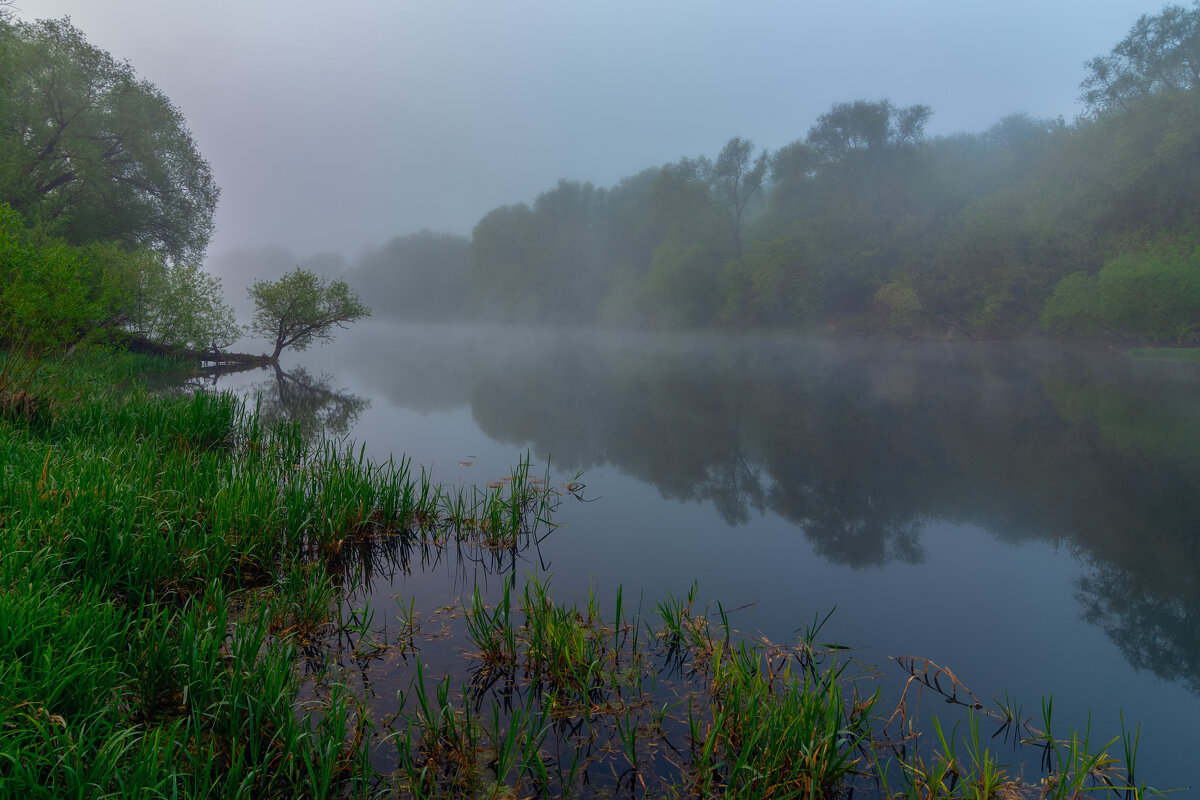 *** - Виталий Емельянов *** - Виталий Емельянов