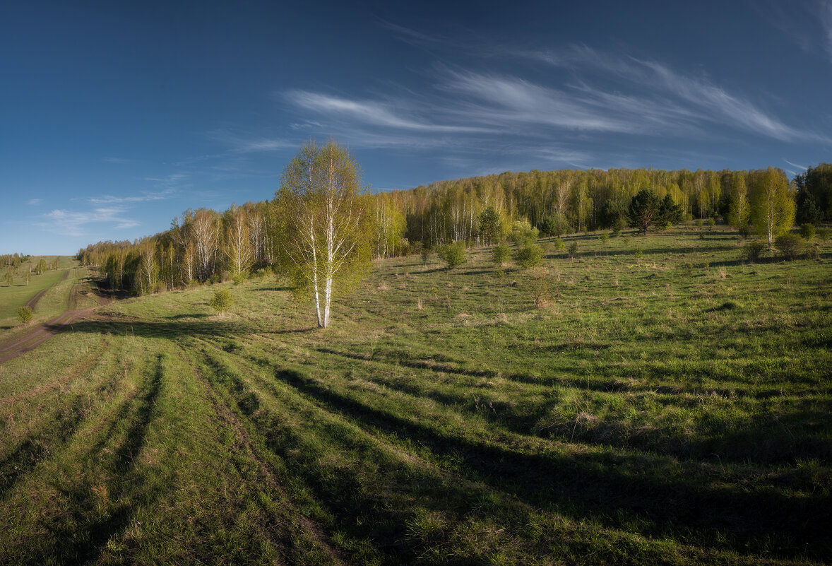 * - Александр Иванов