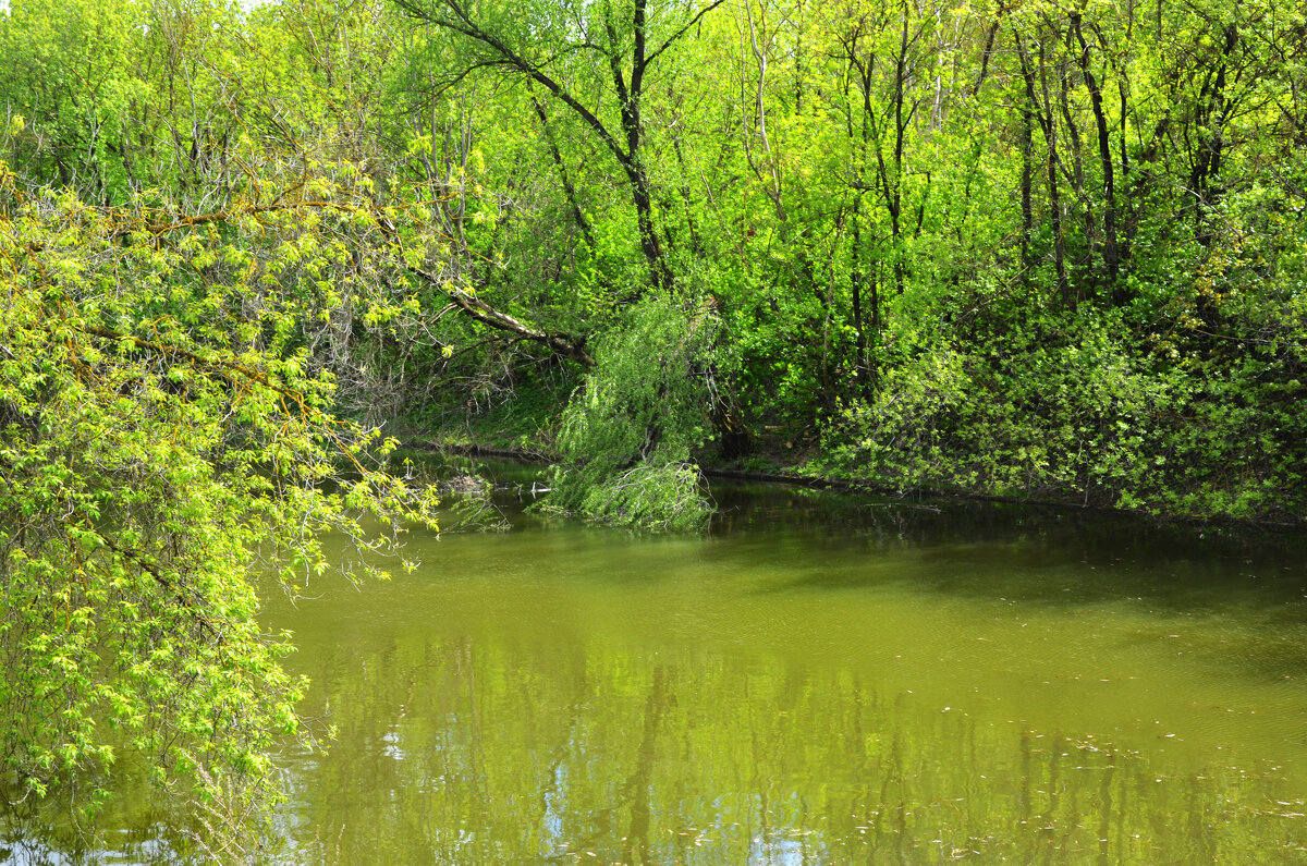 Москва. Царская усадьба Измайлово, XVII в. - Наташа *****
