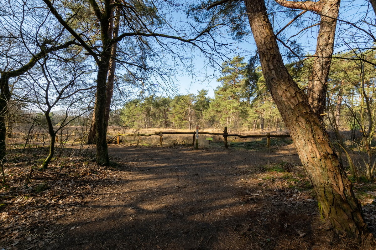 Вокруг болота... - Николай Гирш Вокруг болота... - Николай Гирш