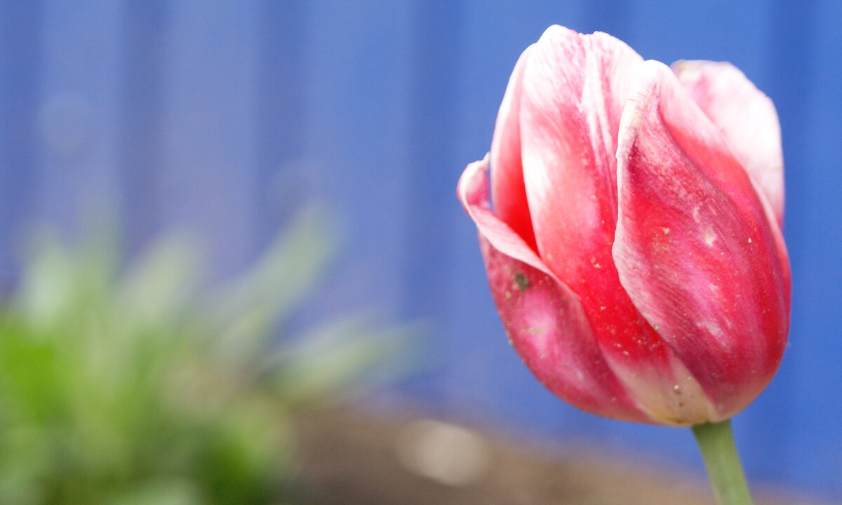 Майский. - сергей ермошкин Майский. - сергей ермошкин