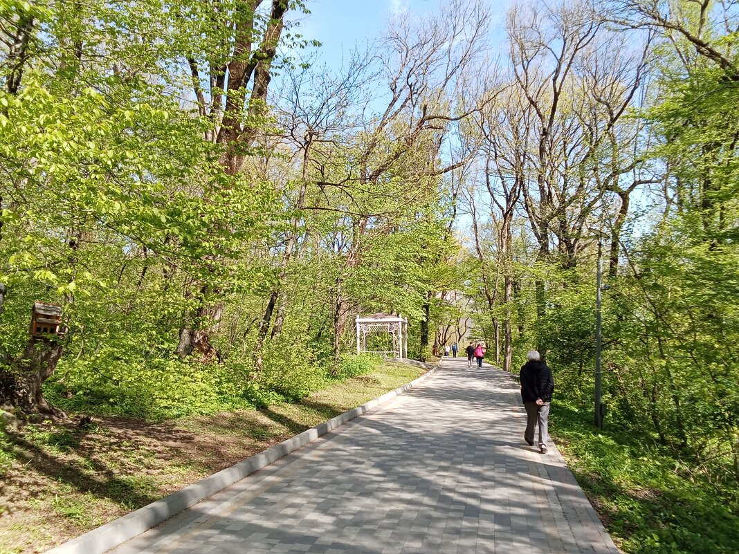 Прогулки вокруг железной горы (терренкур) - Виктор Прогулки вокруг железной горы (терренкур) - Виктор