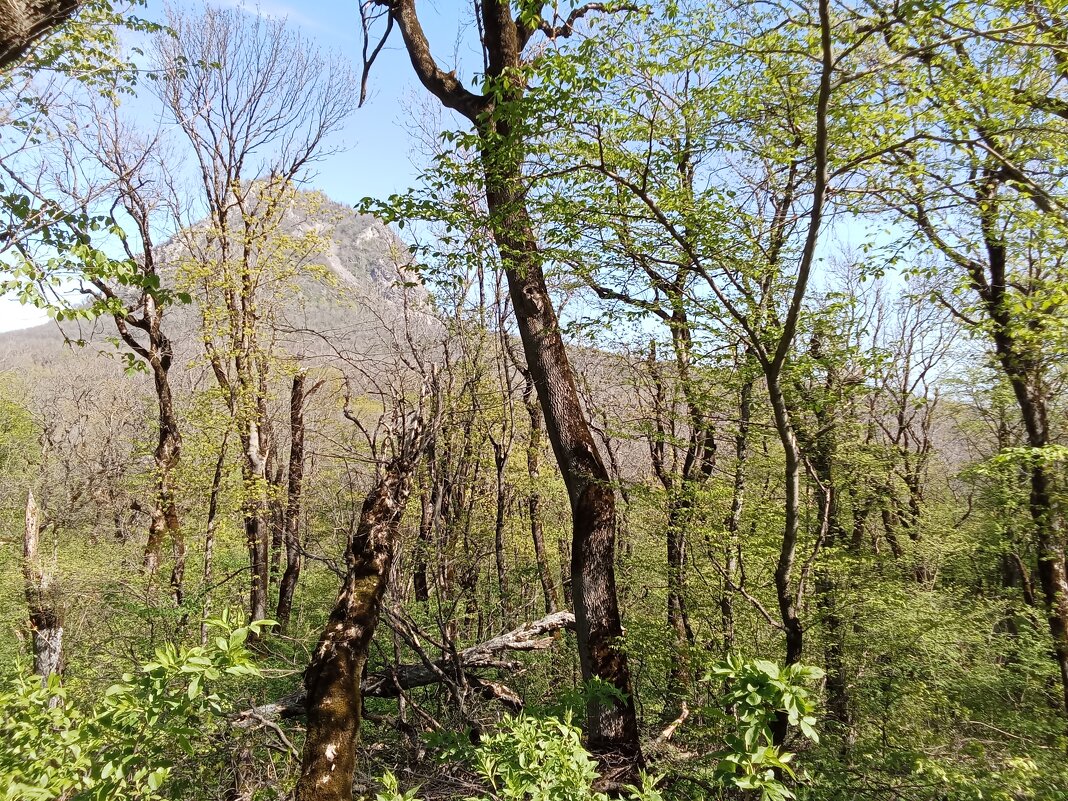 Прогулки вокруг железной горы (терренкур) - Виктор 