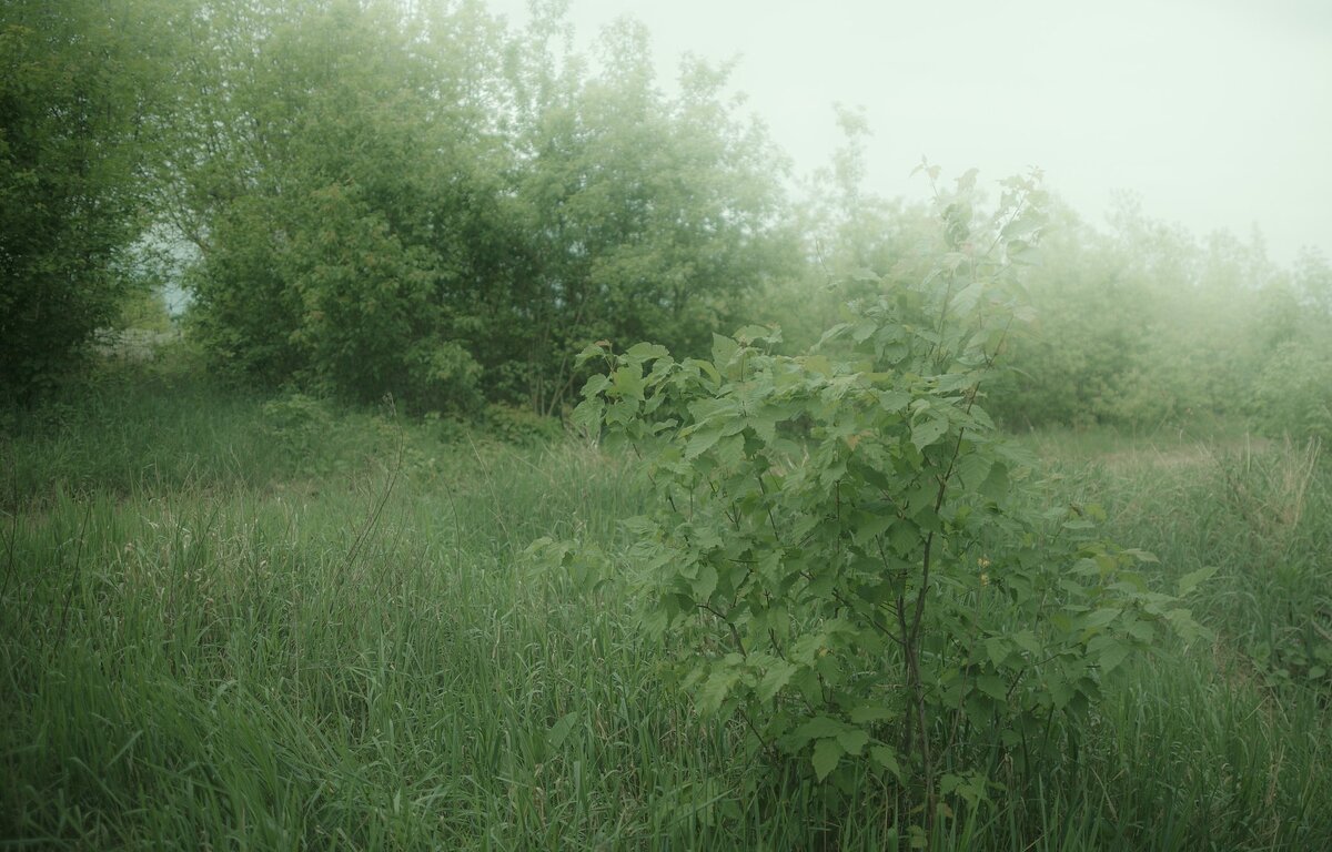 ****** - Валентина M