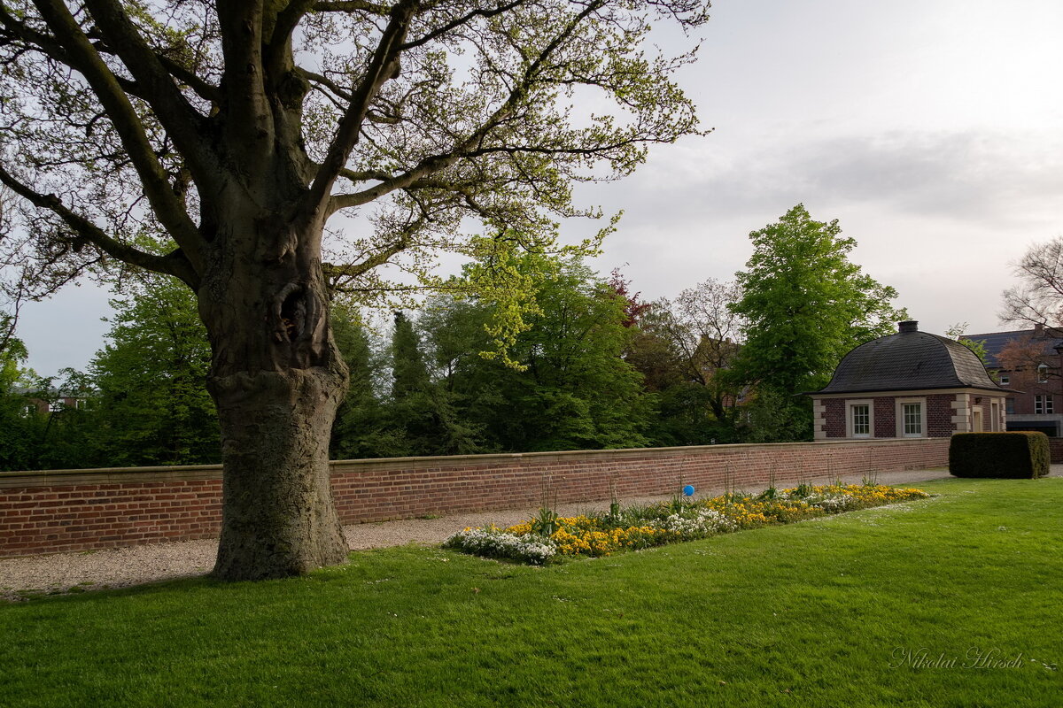 Территория замка... - Николай Гирш Территория замка... - Николай Гирш