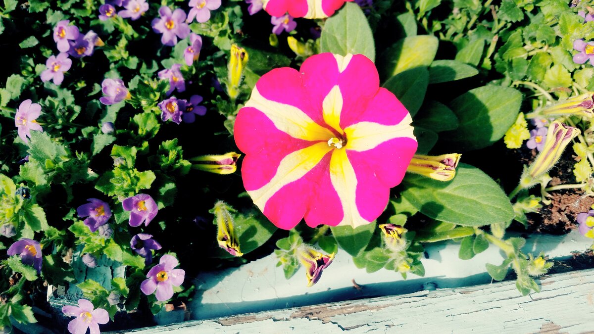 111 (139) - СТРЕН 