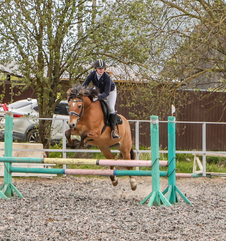 Конкур - Анатолий Шумилин