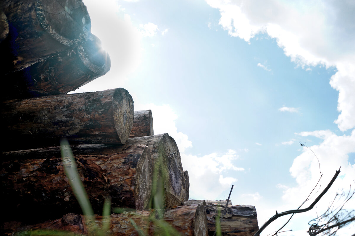 Залежни брёвен. - sorovey Sol