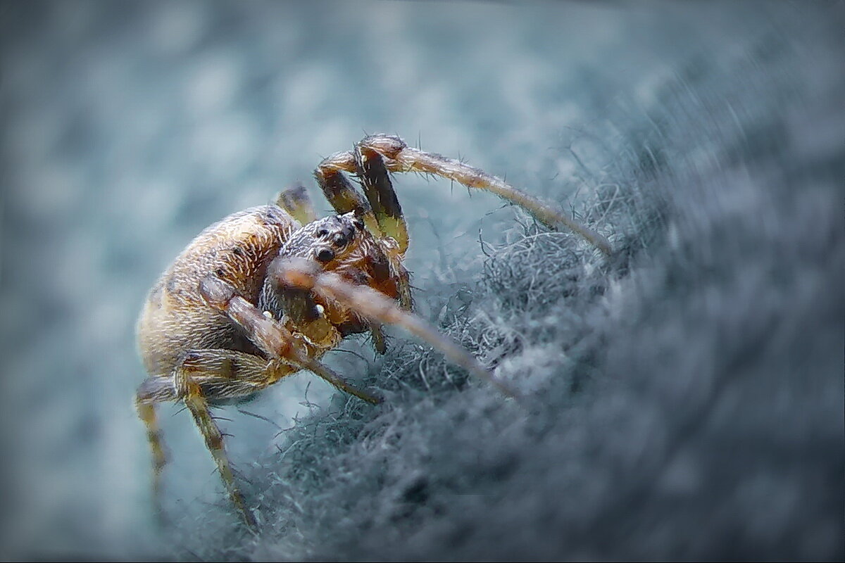 Пришёл на фотосессию... - Владимир Шошин Пришёл на фотосессию... - Владимир Шошин