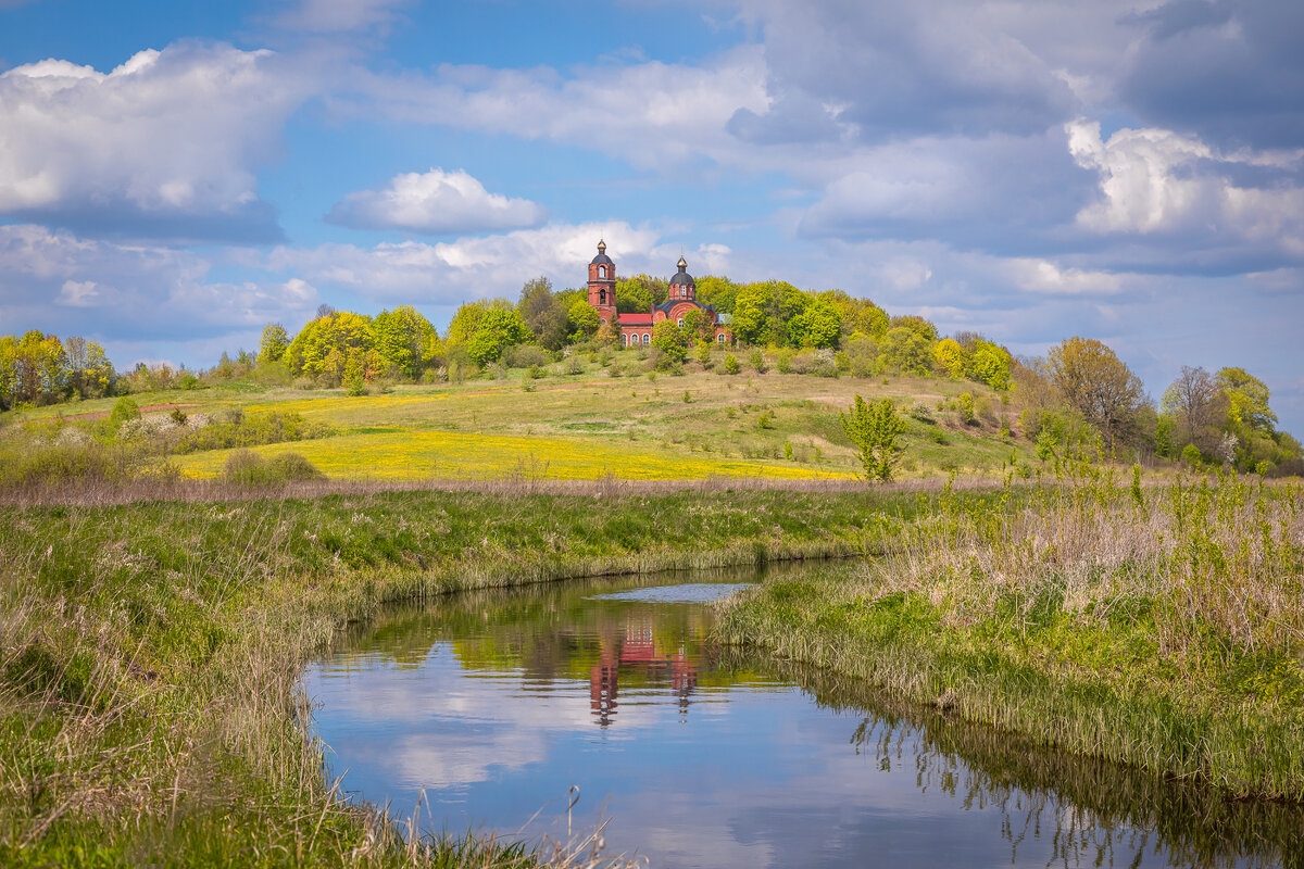 **** - Елизавета .