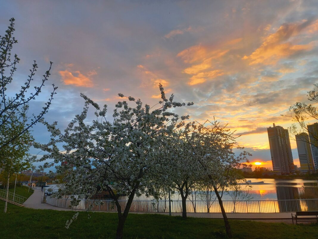 Закат - Сапсан Закат - Сапсан