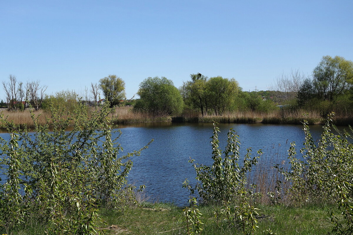Весенний пейзаж - Рита Симонова Весенний пейзаж - Рита Симонова