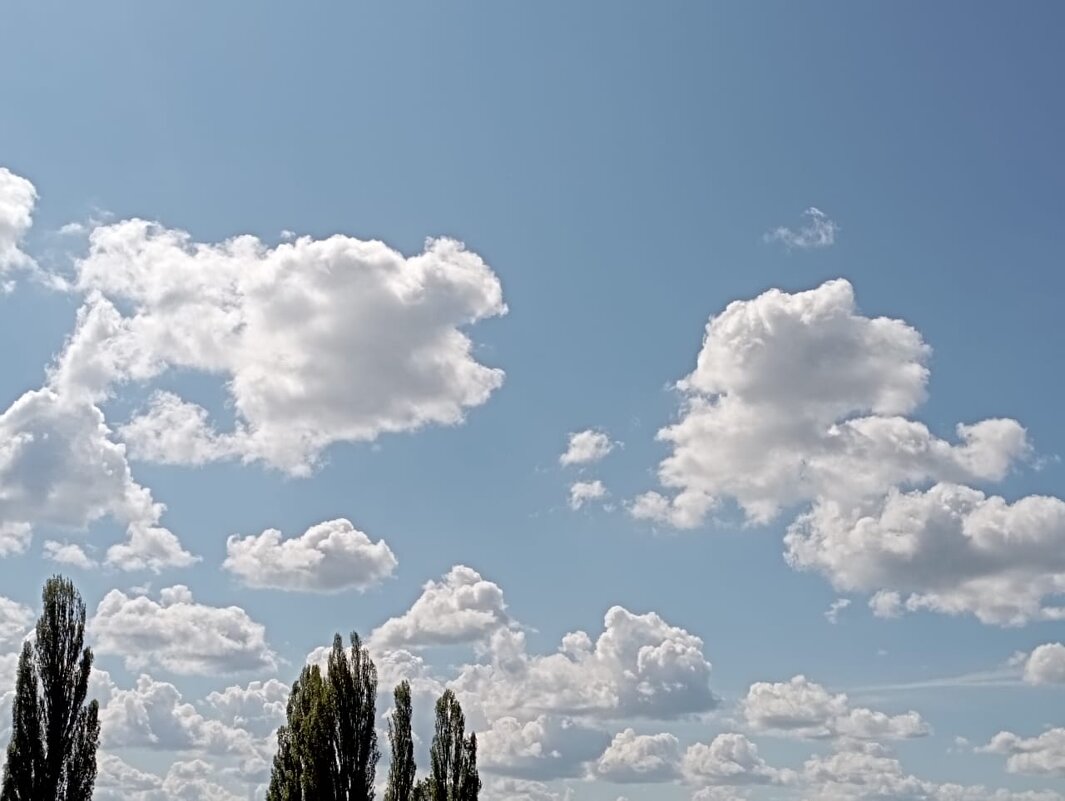 Плывут облака - Елена Семигина