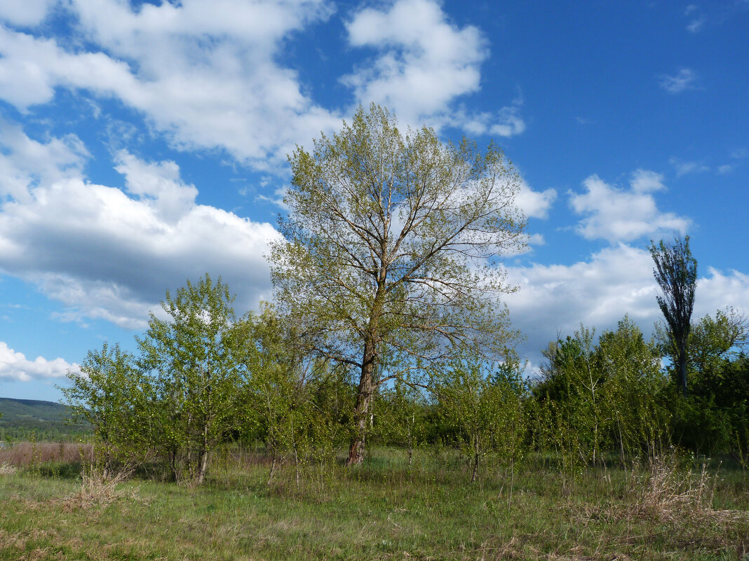 Пейзажи  Крыма - Валентин Семчишин