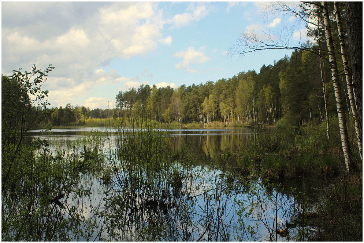 На озере.... - Aleksandr Gal На озере.... - Aleksandr Gal