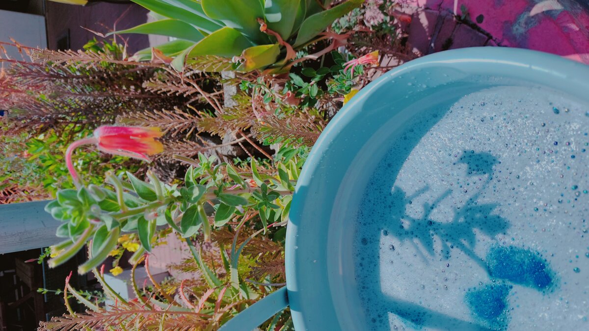 13  ОПЕН (10) - OPEN WAYS ALL