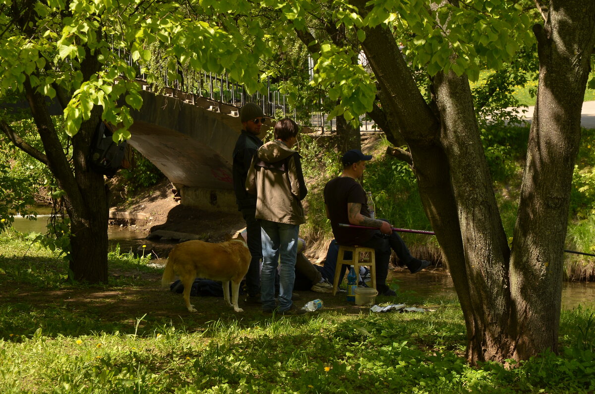 На р. Городне - Oleg4618 Шутченко На р. Городне - Oleg4618 Шутченко