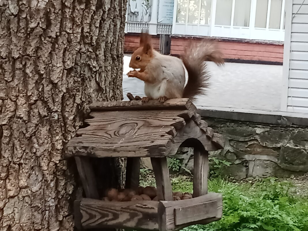 Позируют с удовольствием. - Виктор 