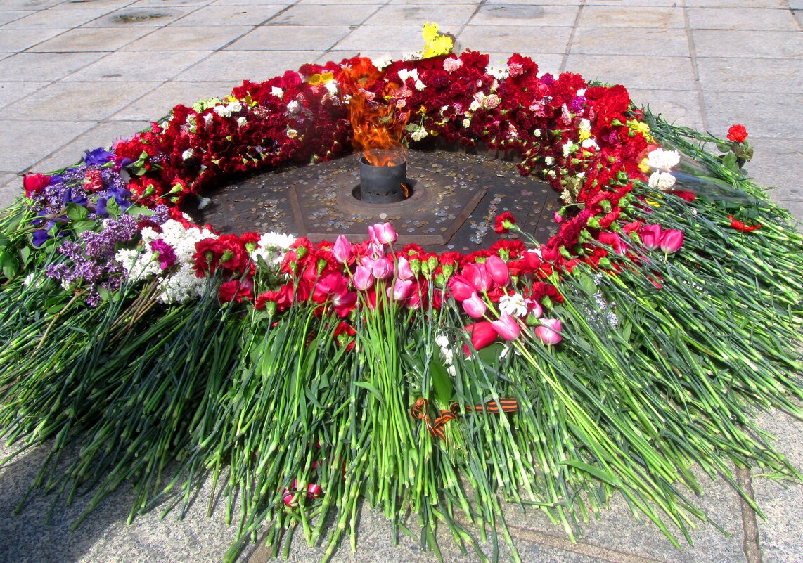 Вечный огонь - Сергей Карачин Вечный огонь - Сергей Карачин