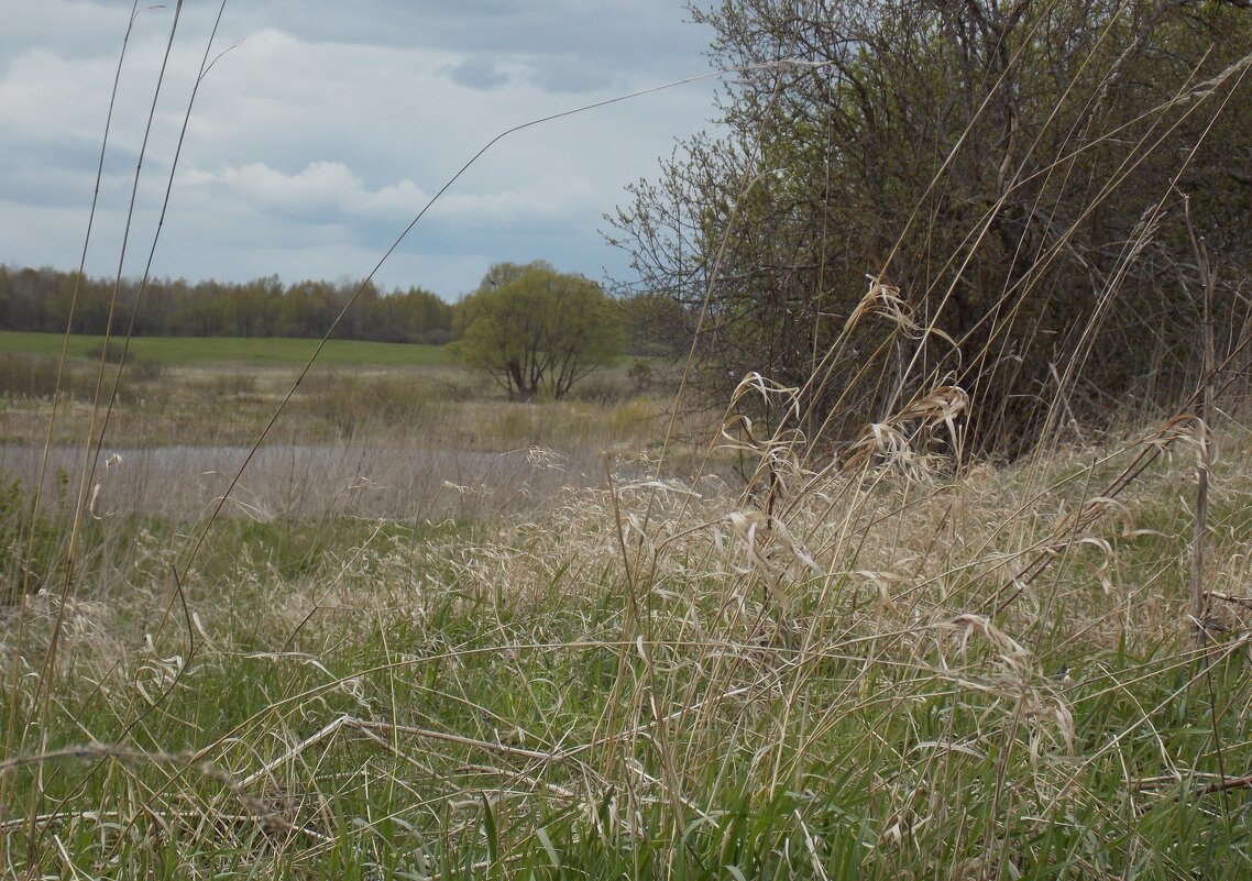 У реки Катки - Vitrevi 