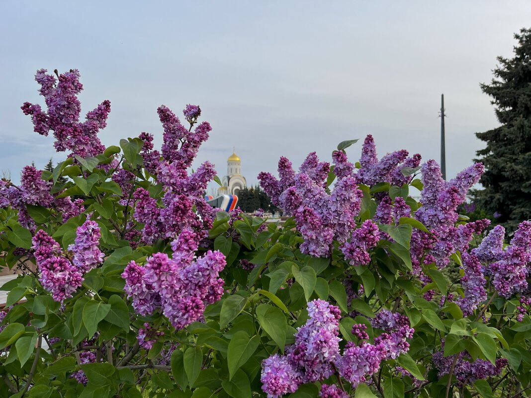 Весна Москва - Александр Конов Весна Москва - Александр Конов