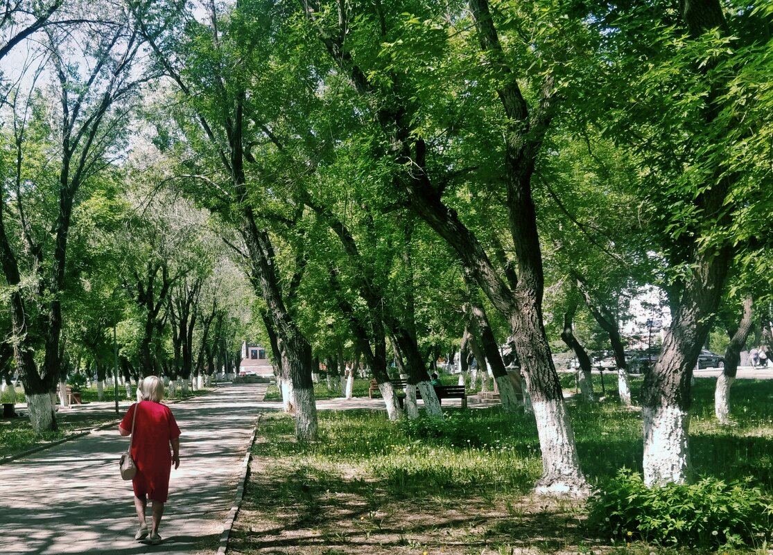 Прогулка в городе - Андрей Хлопонин Прогулка в городе - Андрей Хлопонин