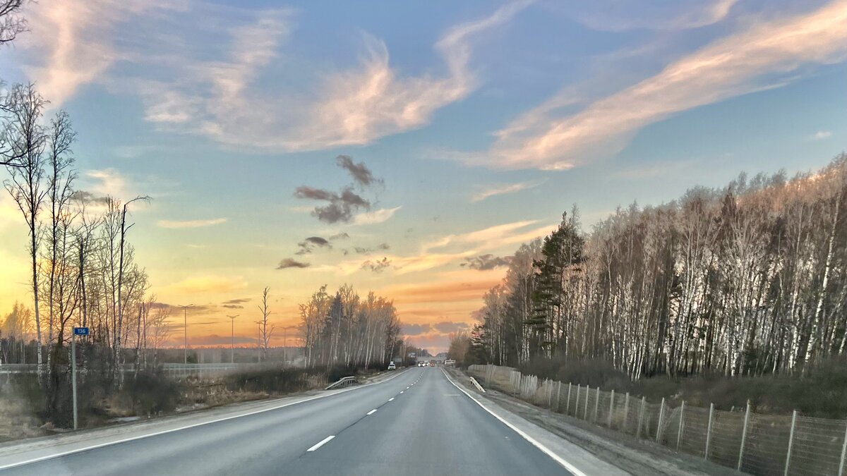 Дорога - Натали Королева