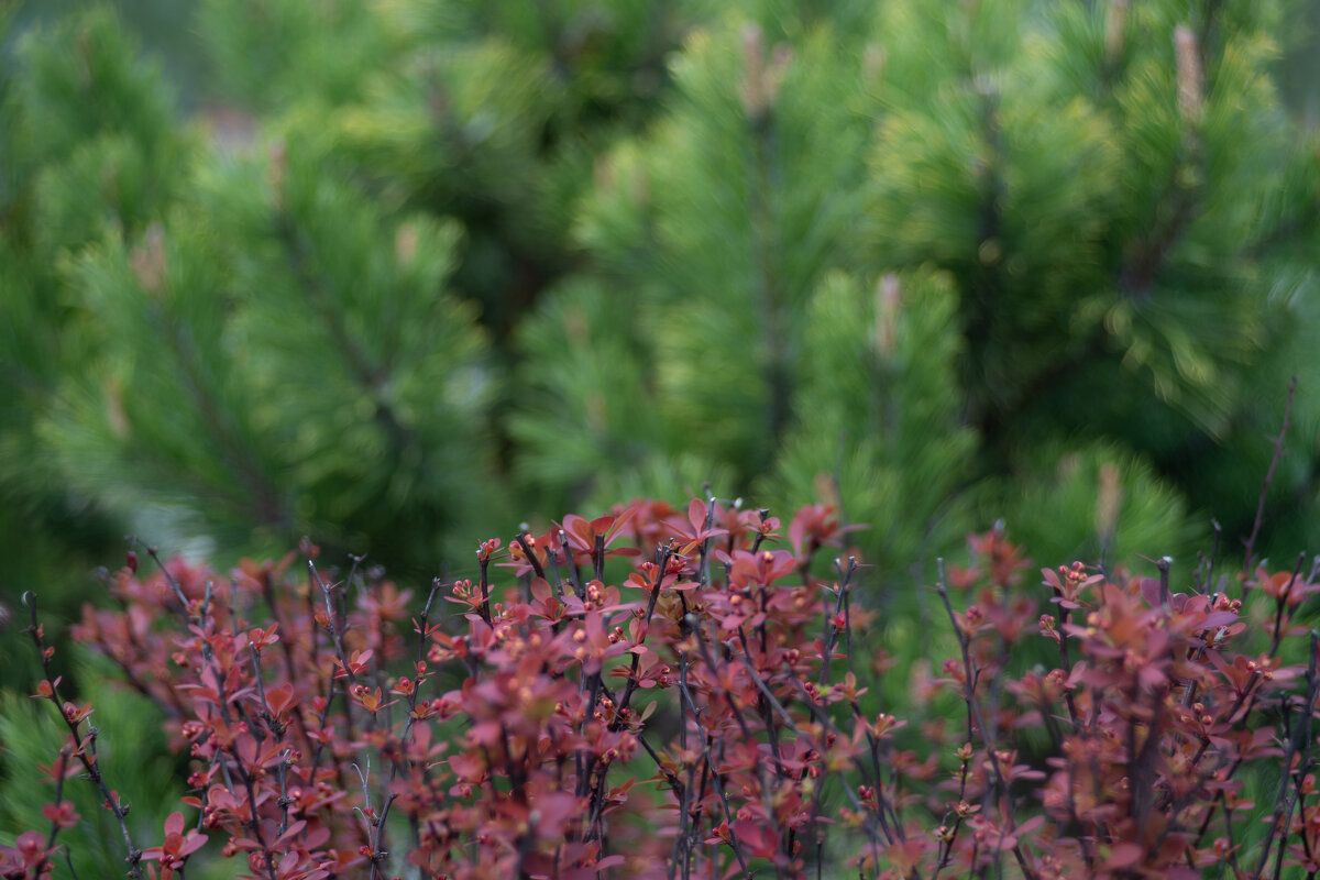 этюд в городе - Роман Шаров этюд в городе - Роман Шаров