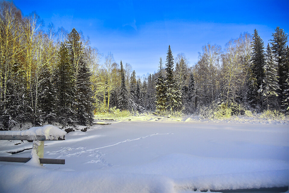 Таёжная река под снегом. - юрий Амосов Таёжная река под снегом. - юрий Амосов