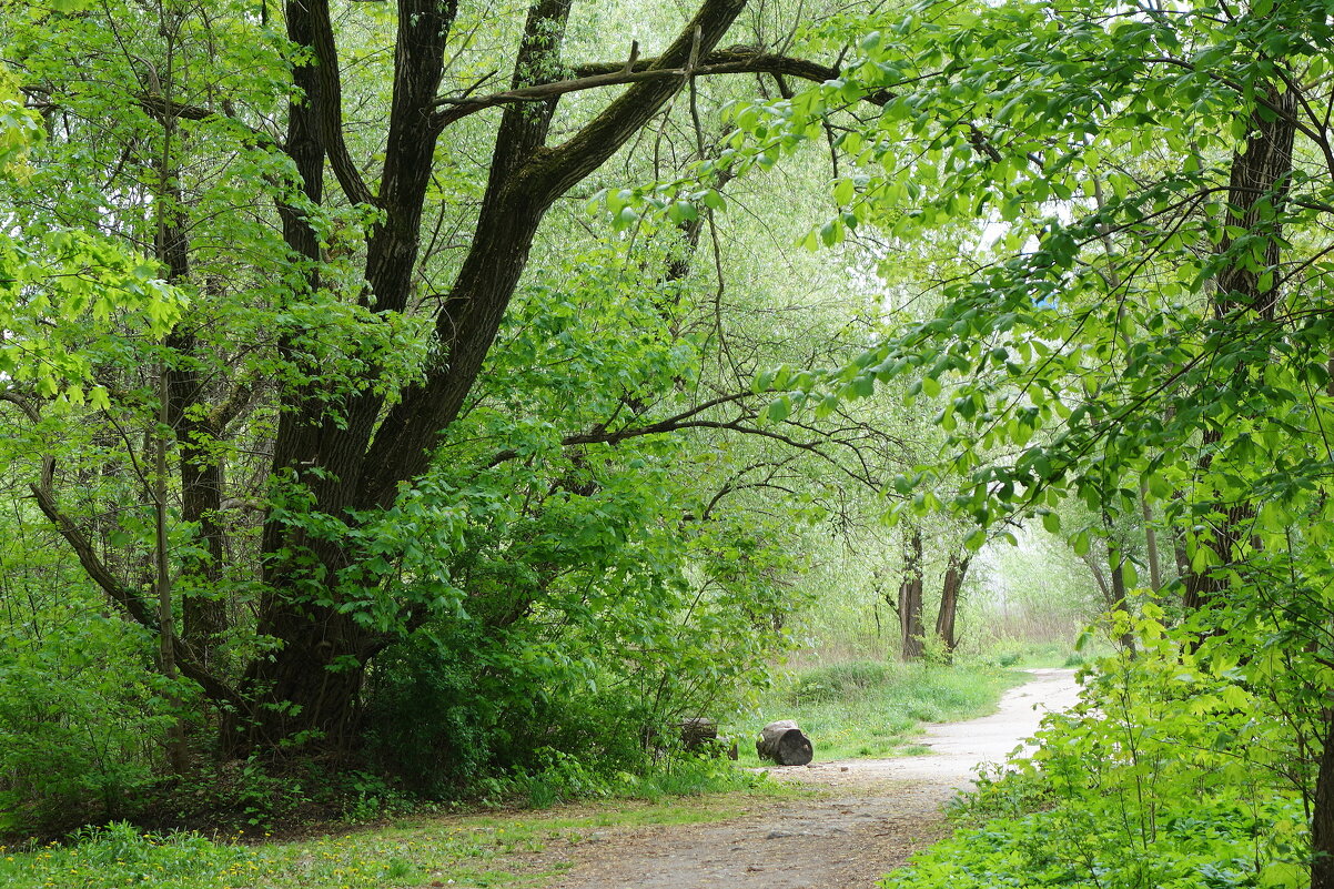 Май - Рита Симонова