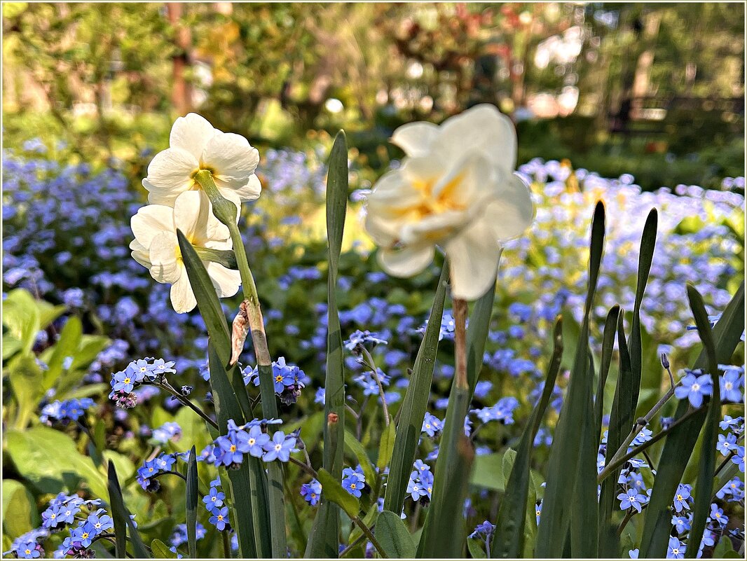 ********** - Валерия Комова ********** - Валерия Комова