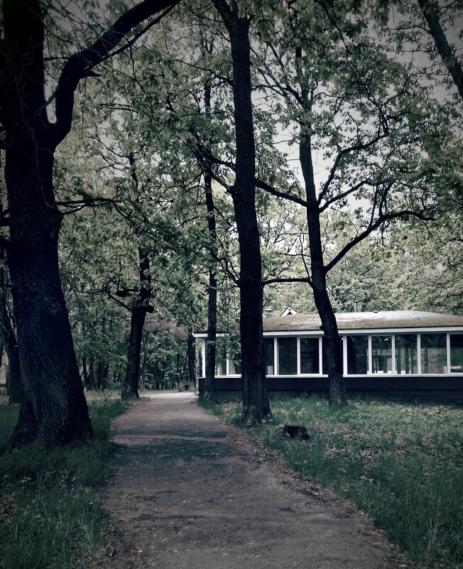 *** - Валентина Береснева