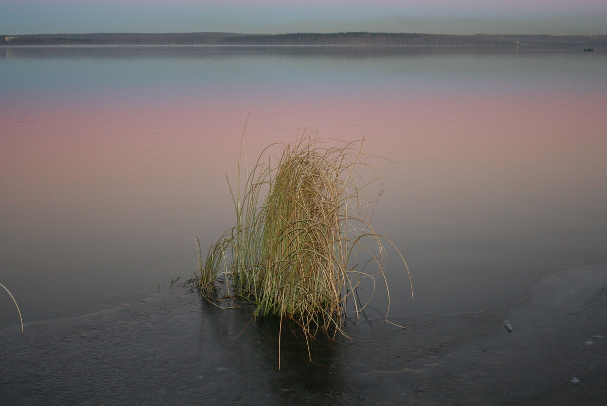 Тишь на Сенеже - Елена 