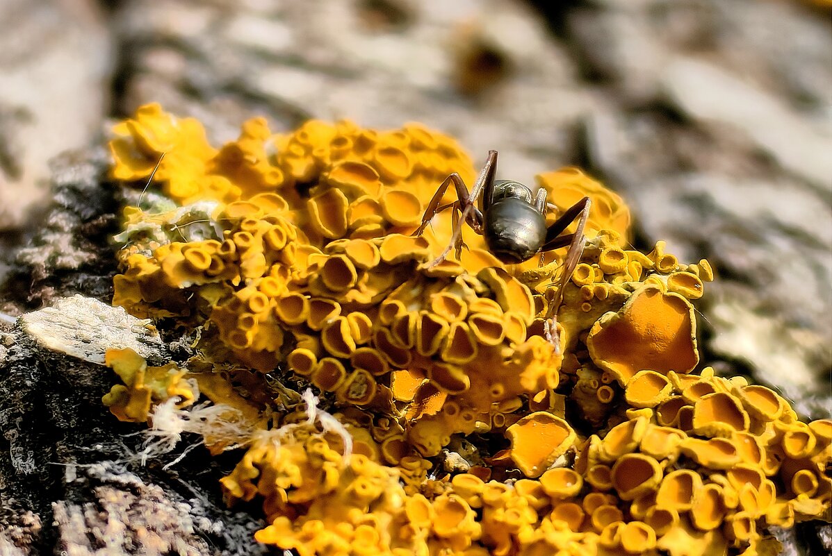 — - Светлана 13.06.