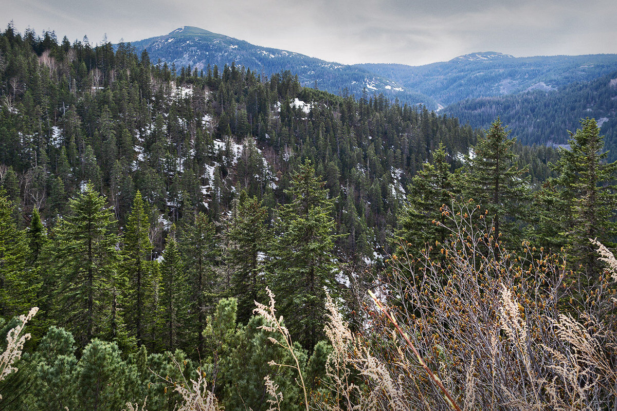Весна на Мяо-Чане - Людмила Фил