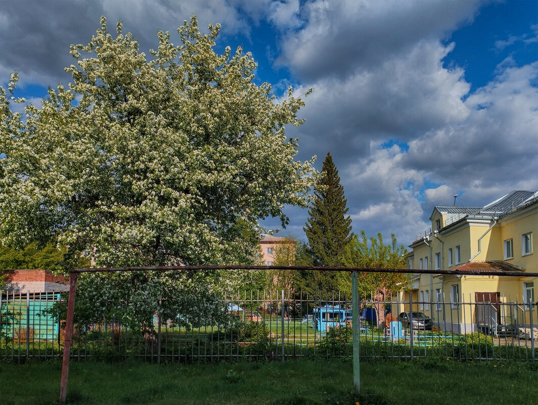 Цветенья мимолётный миг - Дмитрий Костоусов Цветенья мимолётный миг - Дмитрий Костоусов