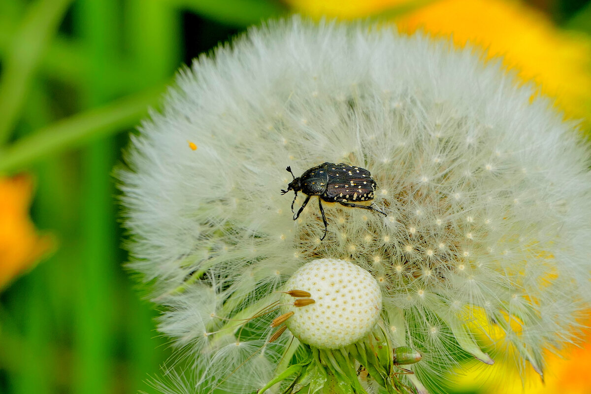 из снятого позавчера 1 - Александр Прокудин из снятого позавчера 1 - Александр Прокудин