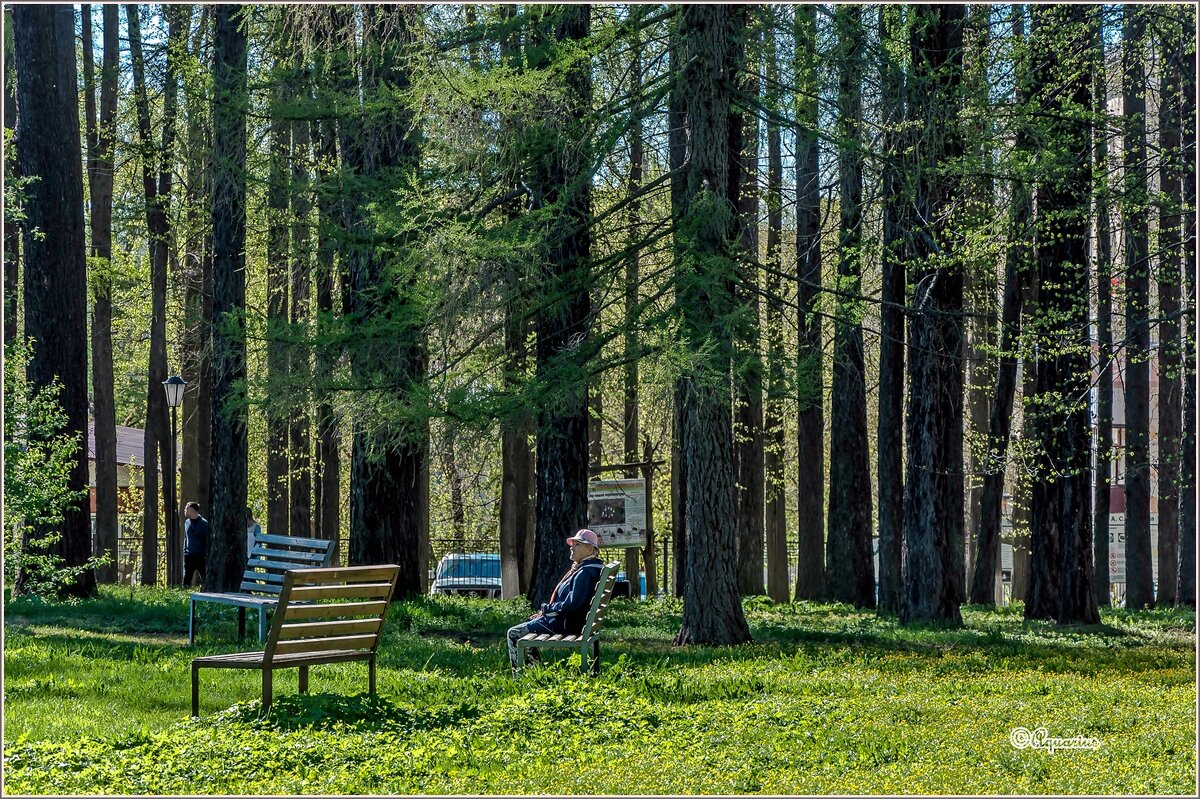 Вторая половина мая... - Aquarius - Сергей Вторая половина мая... - Aquarius - Сергей