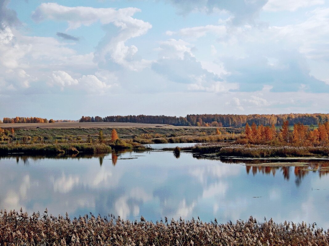 Облачный день - Сергей Швечков