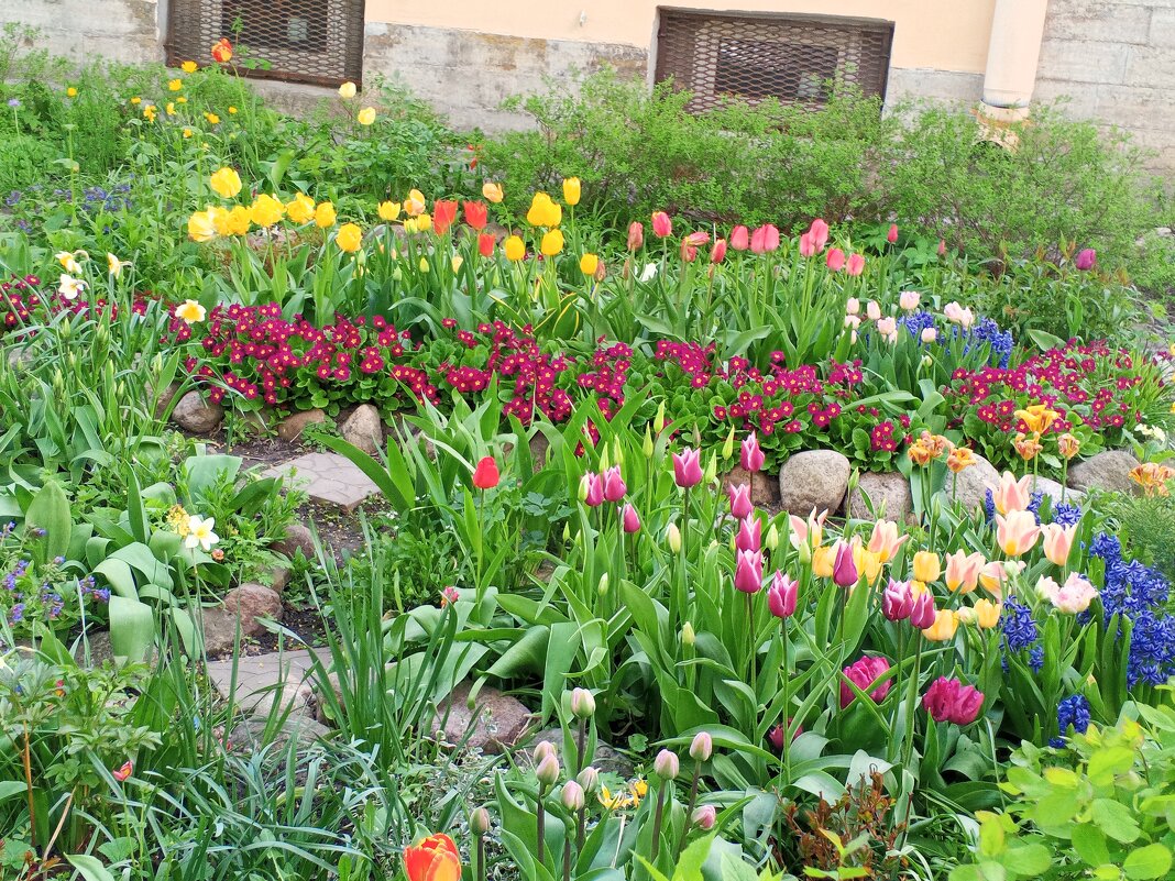 Весна - Сапсан 