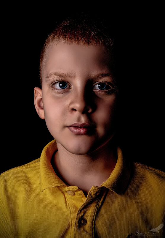 Сын - Soaring Man Владимир Сын - Soaring Man Владимир