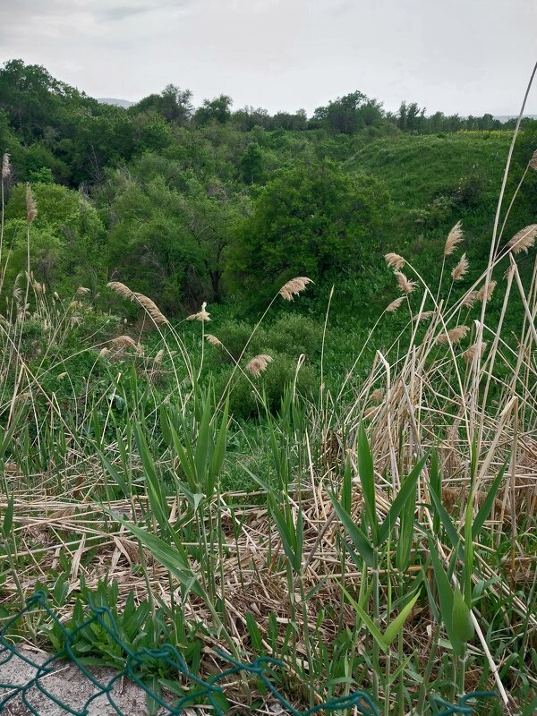 Talgar. - Murat Bukaev 