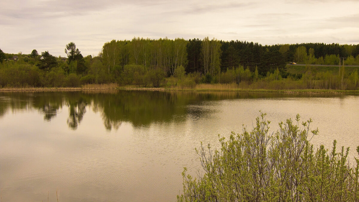 Прогулка возле озера - Владимир Кириченко