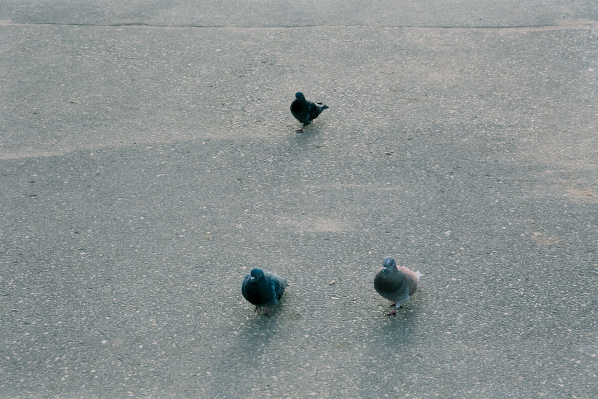 Назва. отсу. - Денис Безногов