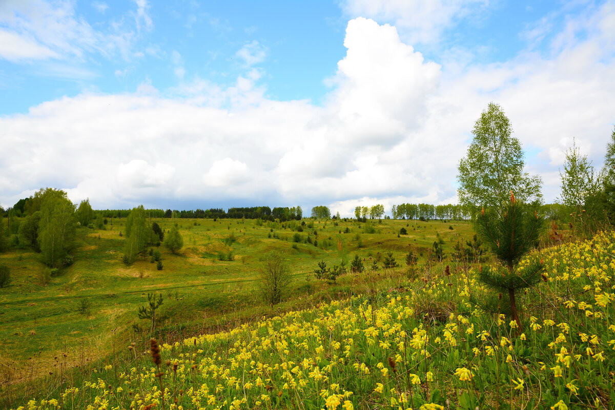 Майские просторы. - Михаил Колосов Майские просторы. - Михаил Колосов