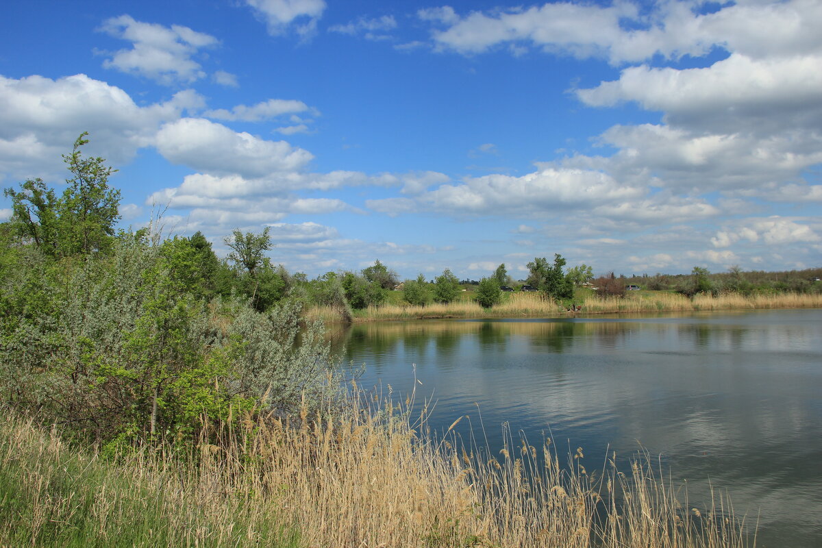 Местные виды. - Виктор Местные виды. - Виктор