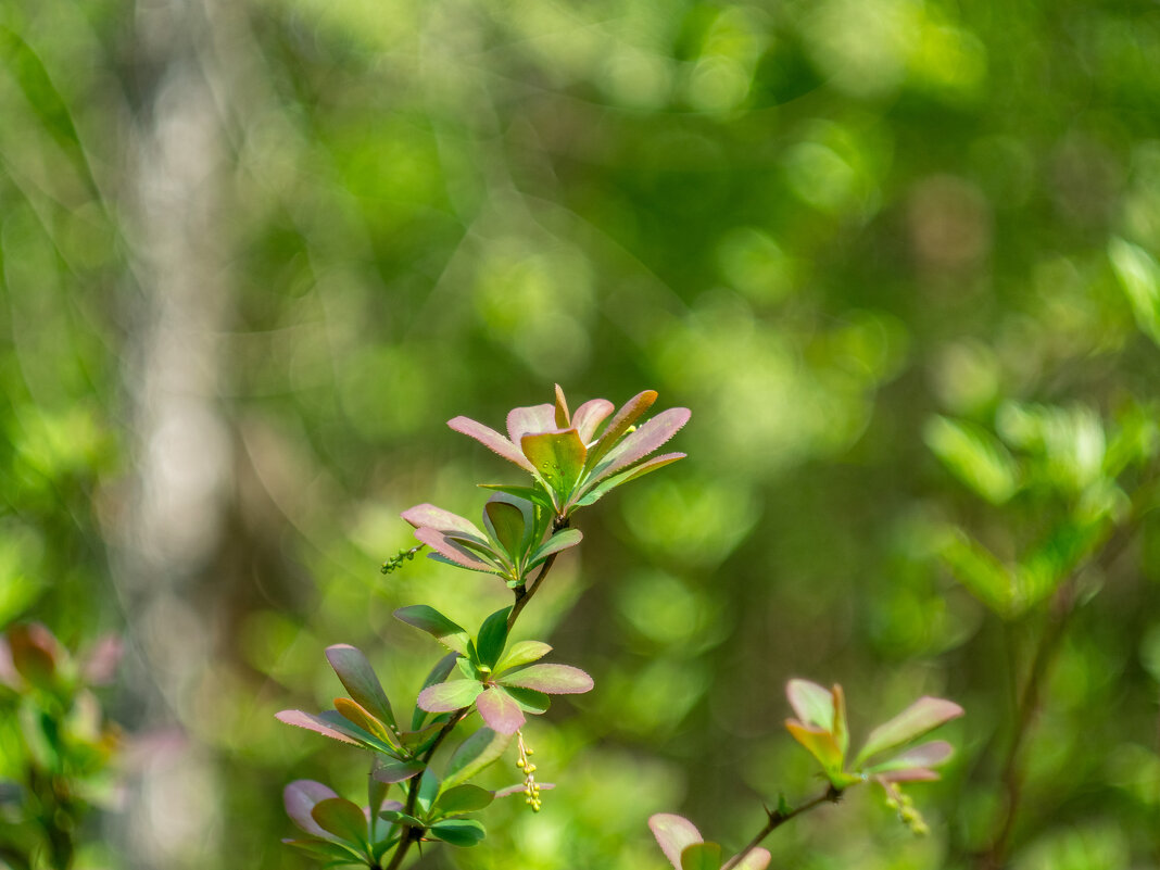 ___ - Yuriy V ___ - Yuriy V